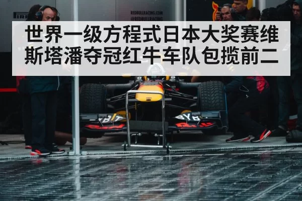 Max Verstappen Red Bull